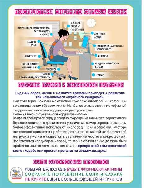Строение медузы. строение сцифоидной медузы