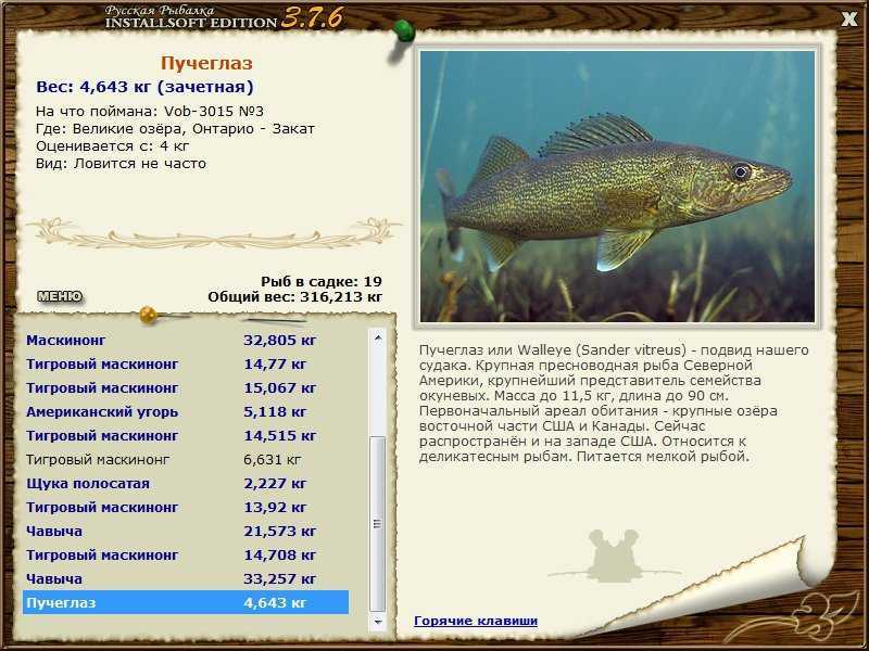 Промысловые рыбы черного моря