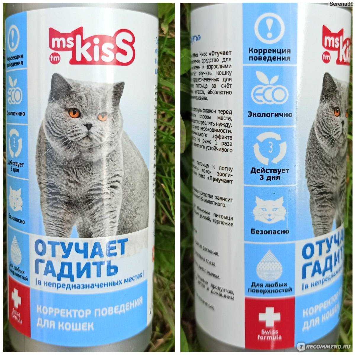 Как защитить цветы от кота, методы, безопасные для кошек и для растений