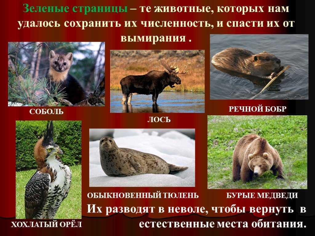 Авто