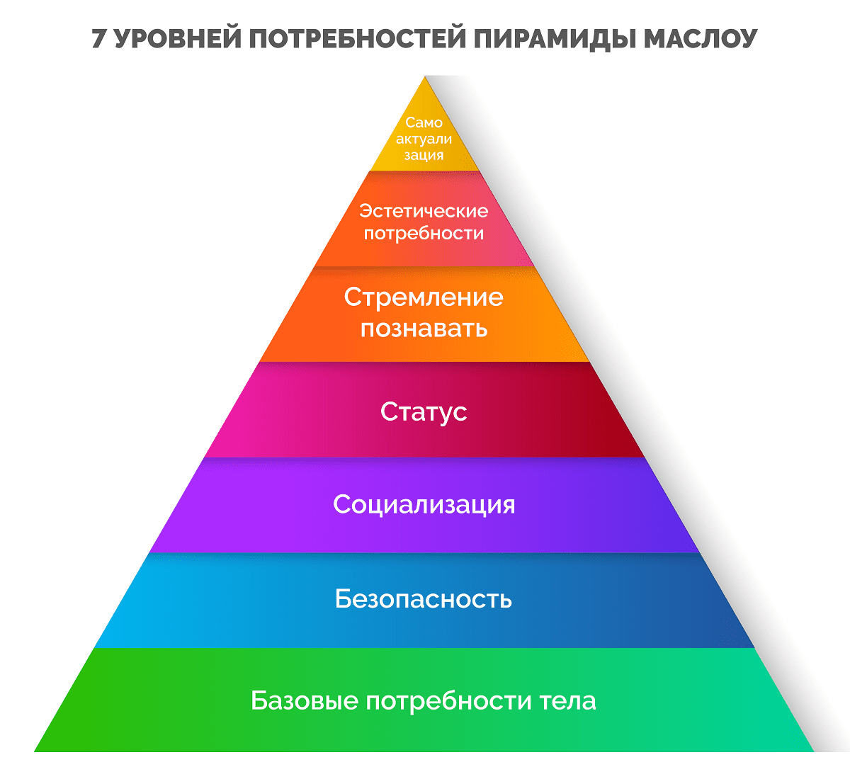 Какие у человека есть физиологические потребности