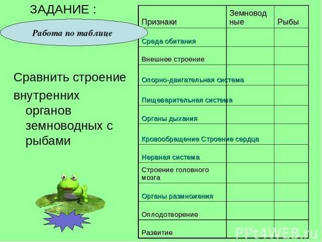 В чем сходство и отличие земноводных и рыб
