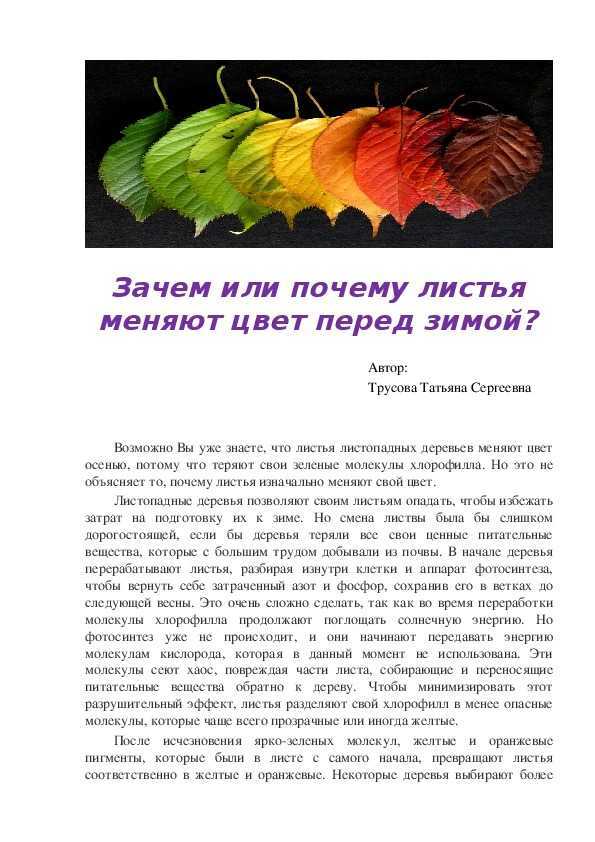 Какого цвета листья у деревьев осенью  | обучонок