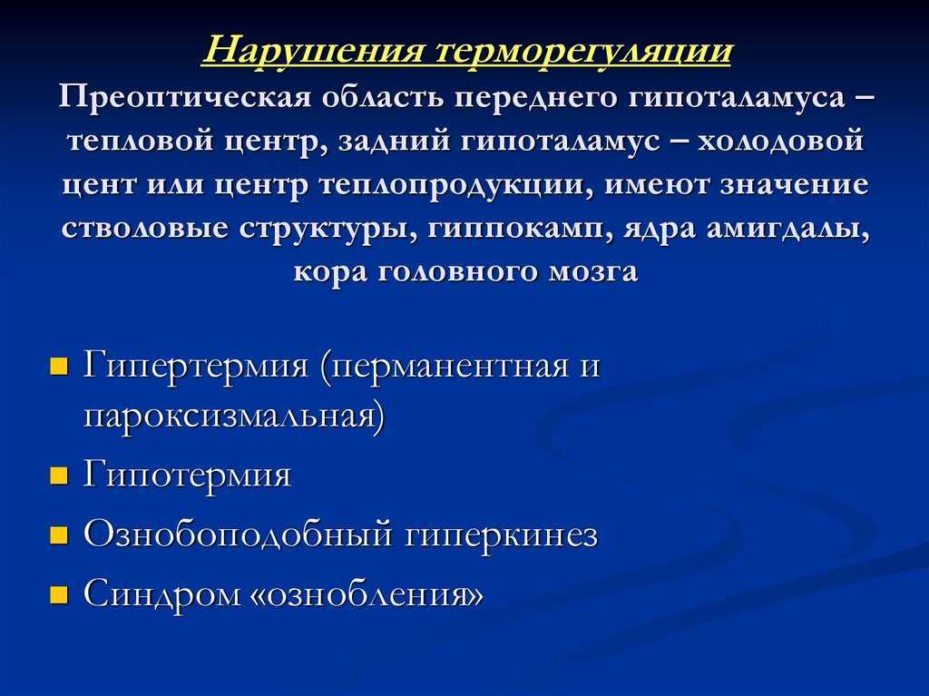 У кошки холодные лапы: причины и что делать, нормально ли это