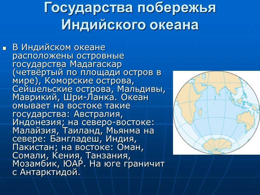 Дюгонь  фото, описание, ареал, питание, враги