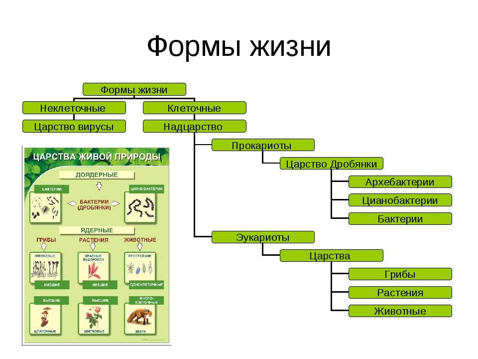 Биология