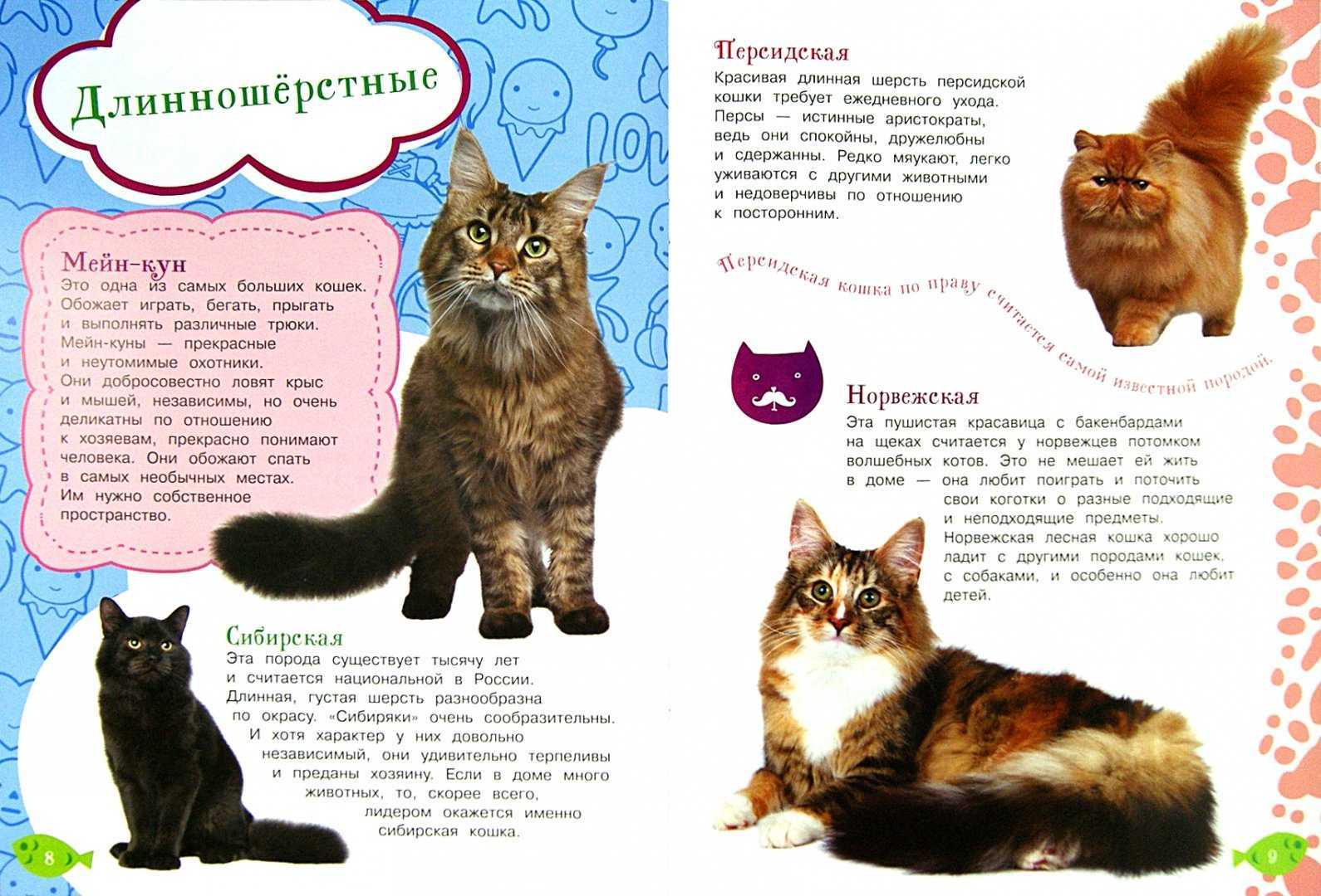 Почему мама-кошка кусает своих деток-котят