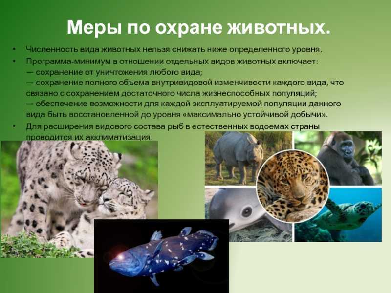 Животный мир как объект использования. виды и способы пользования животным миром - глушко о.а. и др. экологическое право
