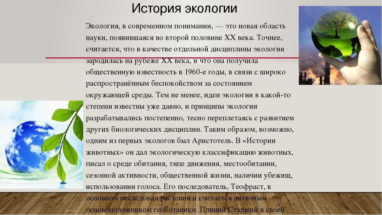 Самые красивые бабочки мира. топ-5 удивительных мотыльков планеты