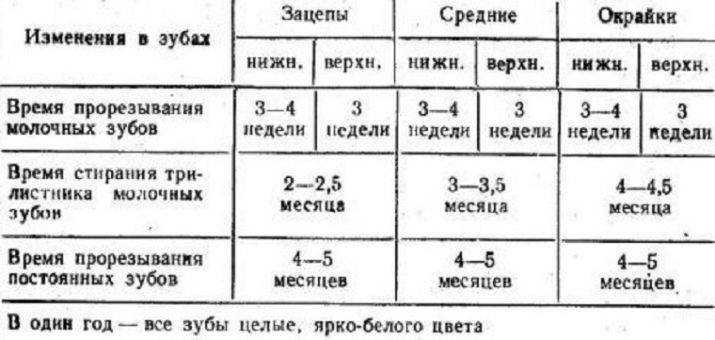 Фото йорков с рождения до 1 года по месяцам, этапы развития йоркширского терьера.