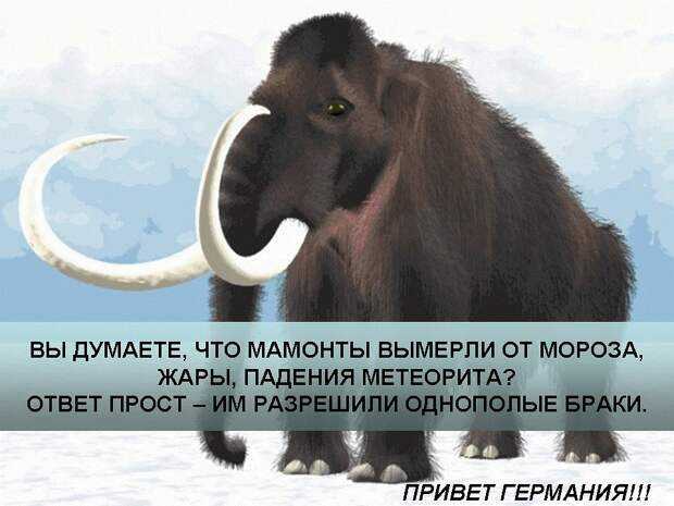 Мамонты и поиски живого мамонта