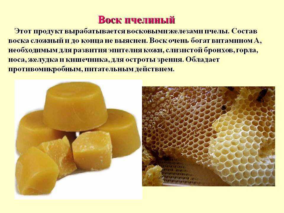 Как пчелы делают воск: характеристика, польза и вред
