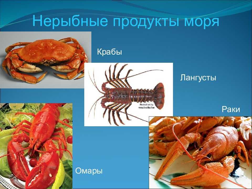 Морской и обычный речной рак. сходства, отличия, где и сколько живут.