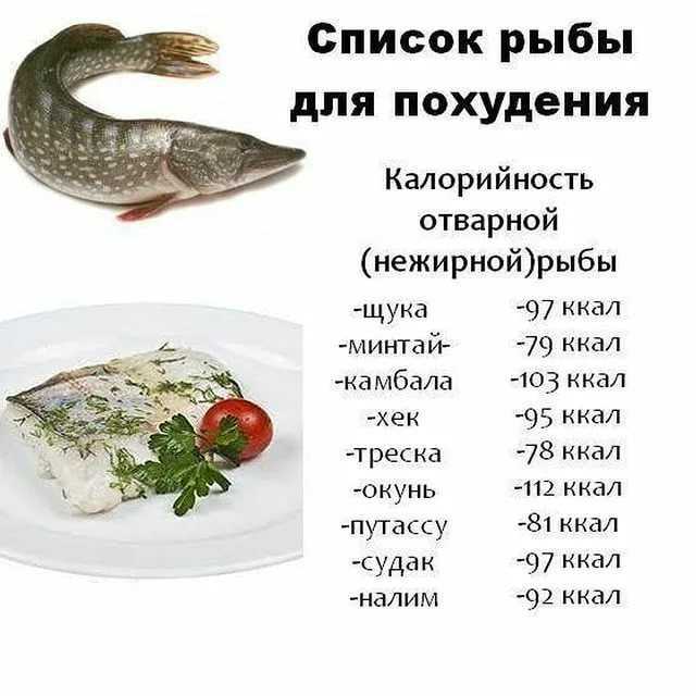 Рыба капля
