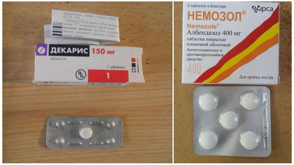 Симптомы, лечение и профилактика заражения котенка глистами: как проглистогонить малыша в домашних условиях?