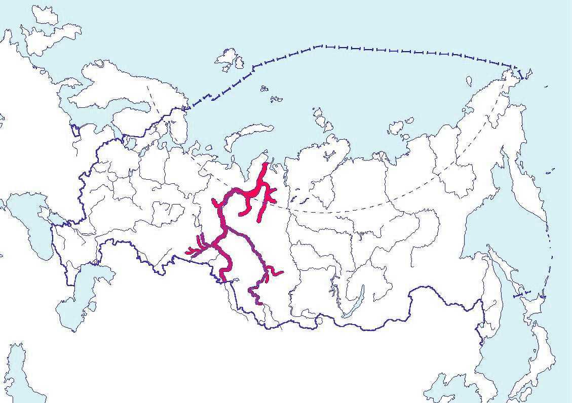 Блюда из стерляди: рецепты с фото