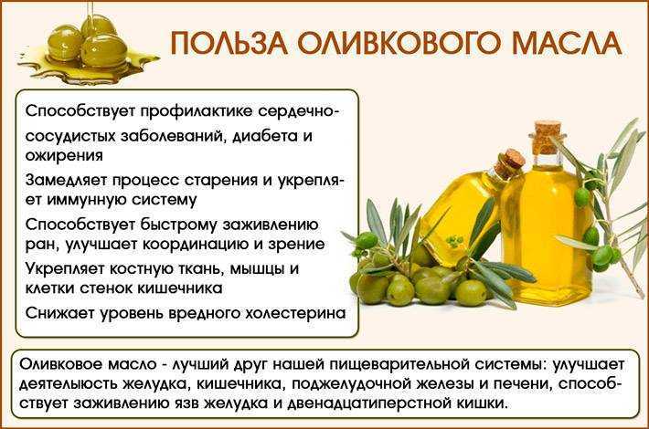 Почему коты любят оливки, маслины и масло
