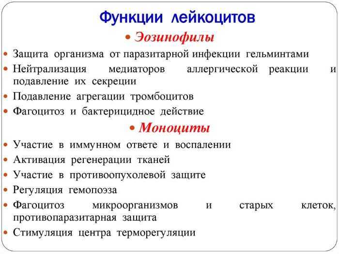 Можно ли сало кошкам?