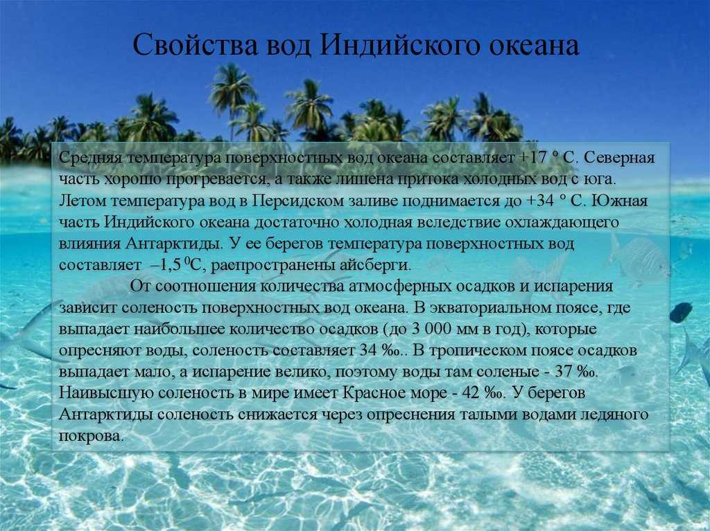 Животные индийского океана