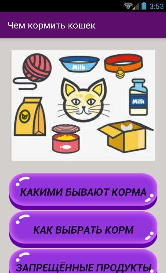 Чем нельзя кормить кошек: список продуктов