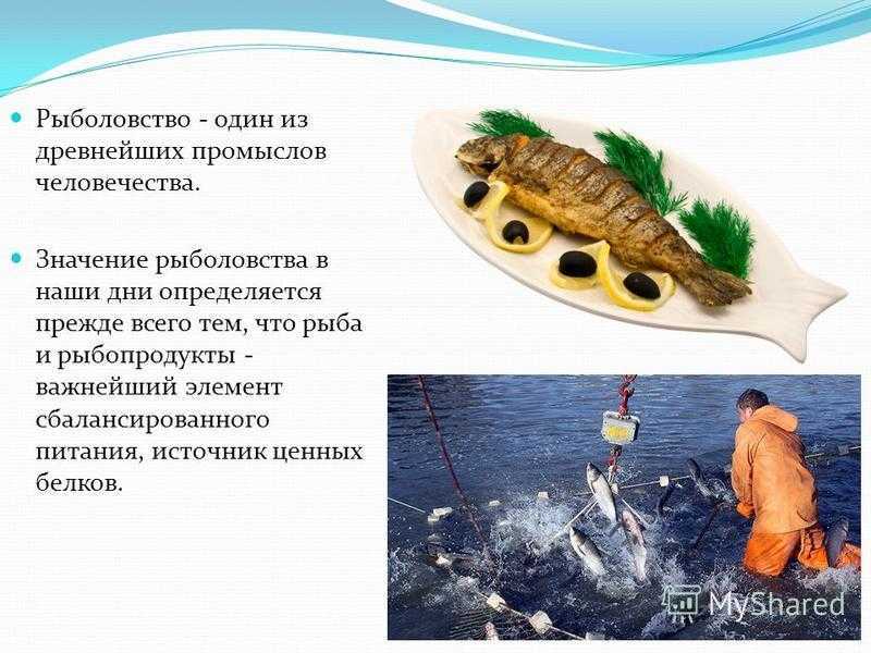 Рыбы