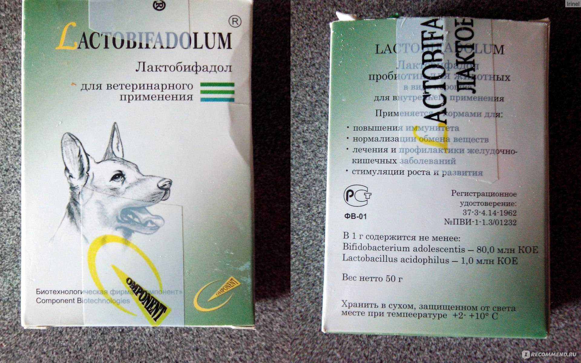 Лактобифадол для собак и кошек: инструкция по применению, отзывы о пробиотике