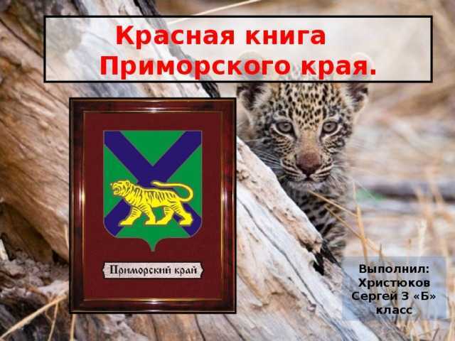 Животный мир японии: уникальные животные японской фауны