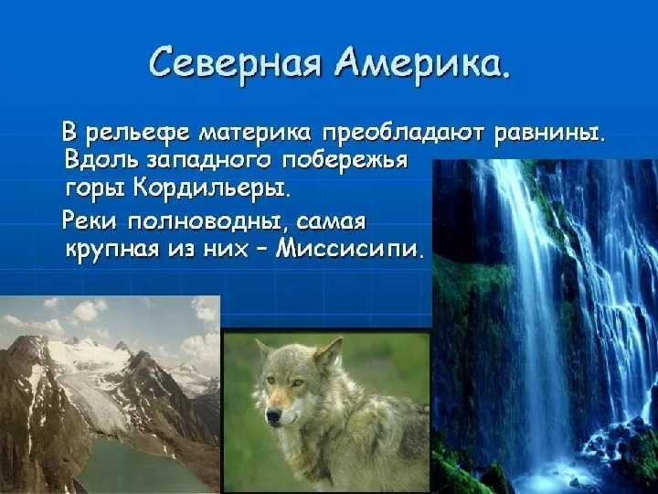 Природные зоны северной америки - растения и животные