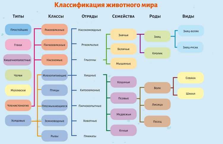 Мифические существа - список с картинками