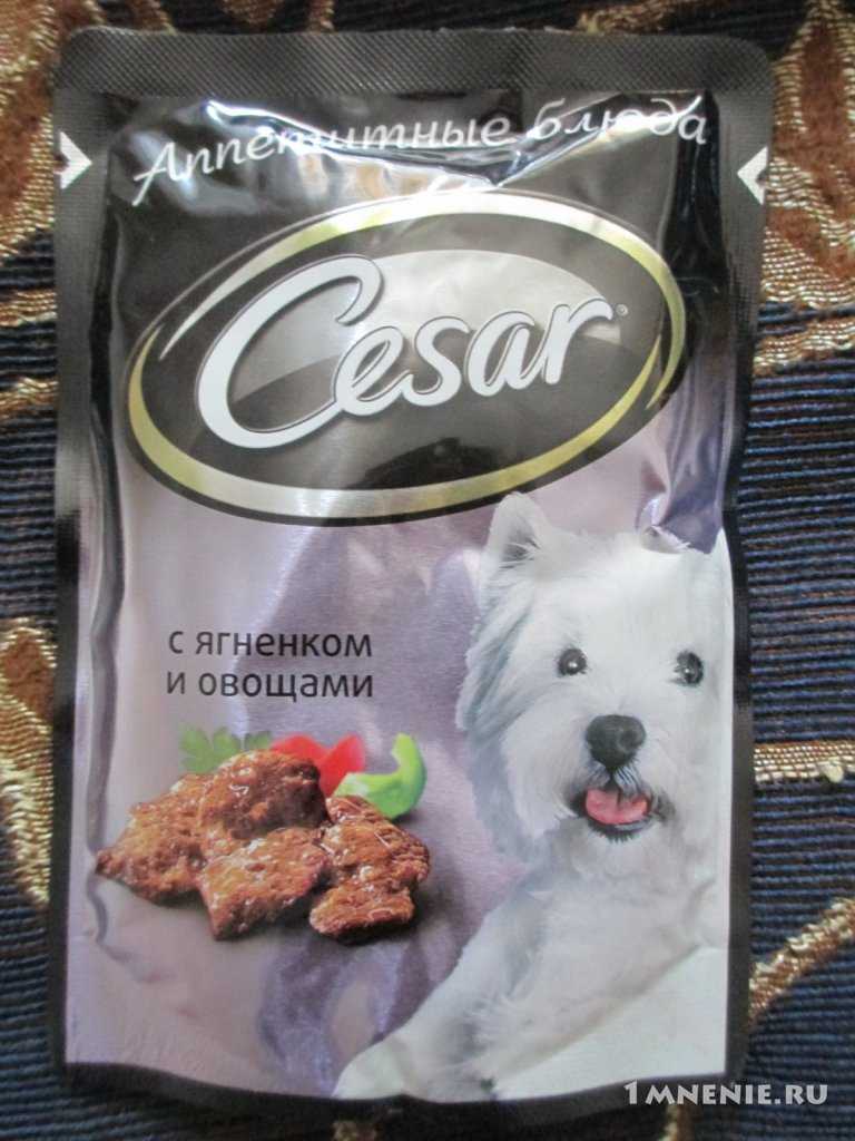 Корм чаппи для собак – описание, класс корма, стоимость, отзывы