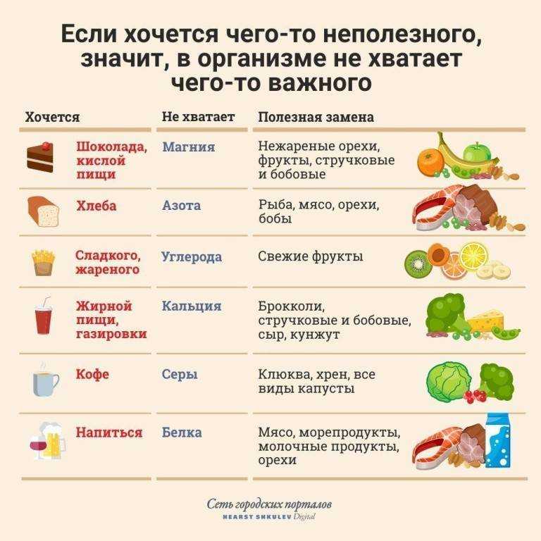 Почему кошка ест землю: нарушение психики или нехватка витаминов