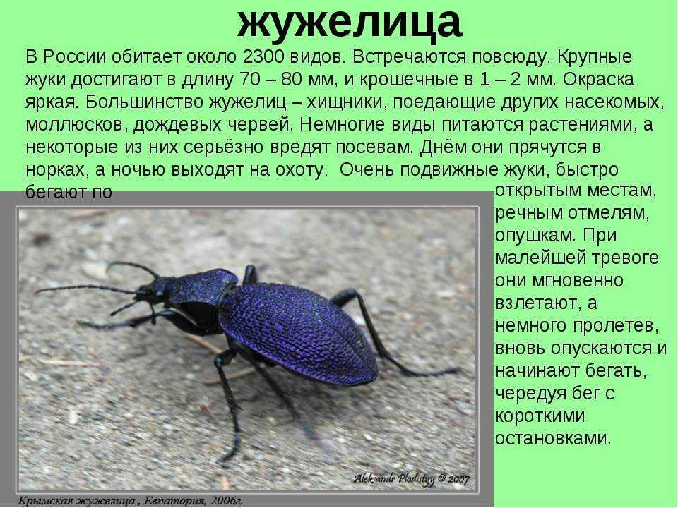История венгрии (кратко)