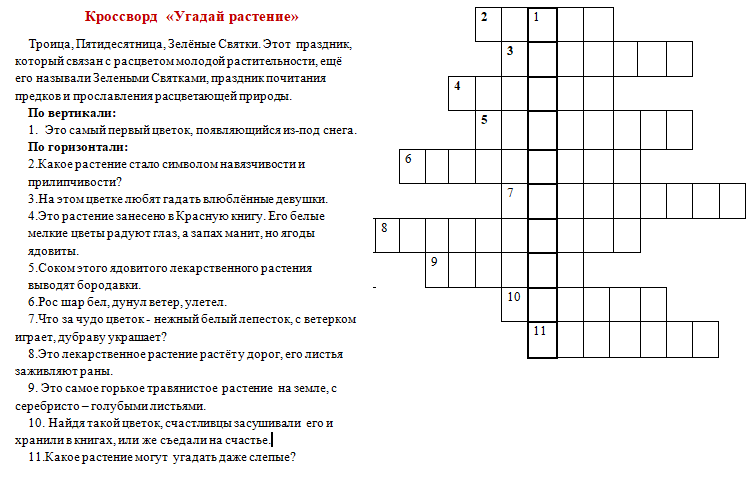 Зебра животное. описание, особенности, виды, образ жизни и среда обитания зебры