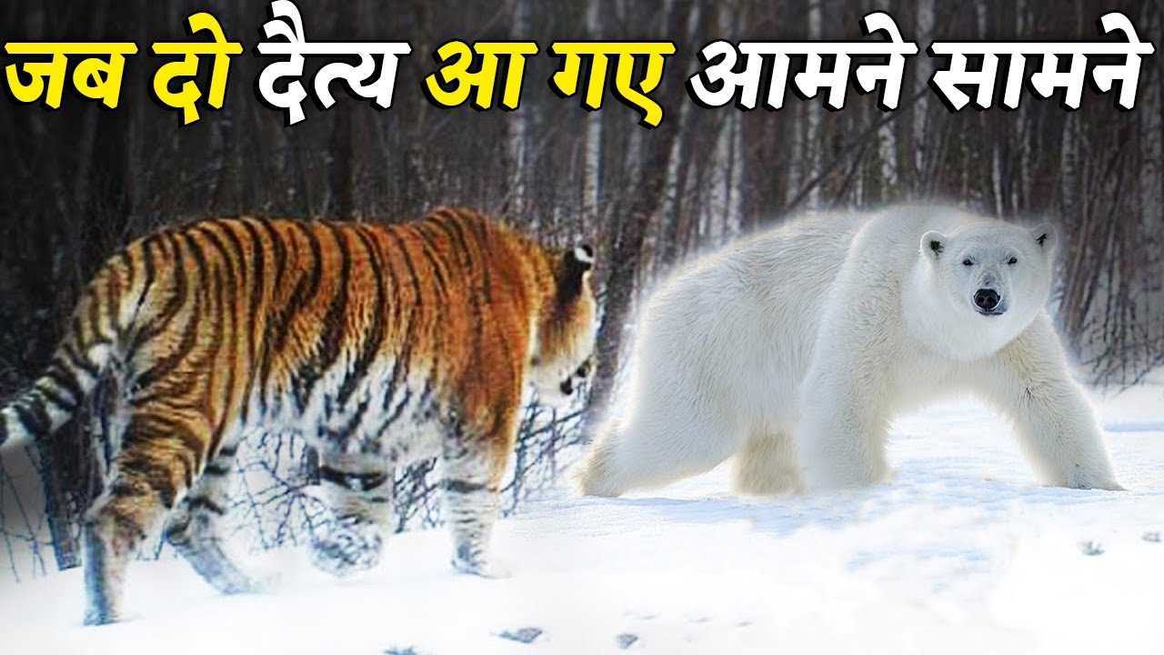 Поучительные притчи с моралью о жизни