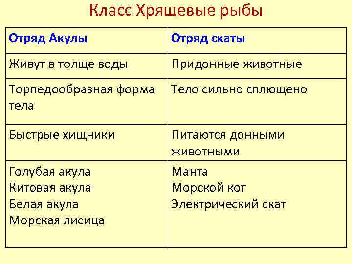 Хрящевые рыбы примеры