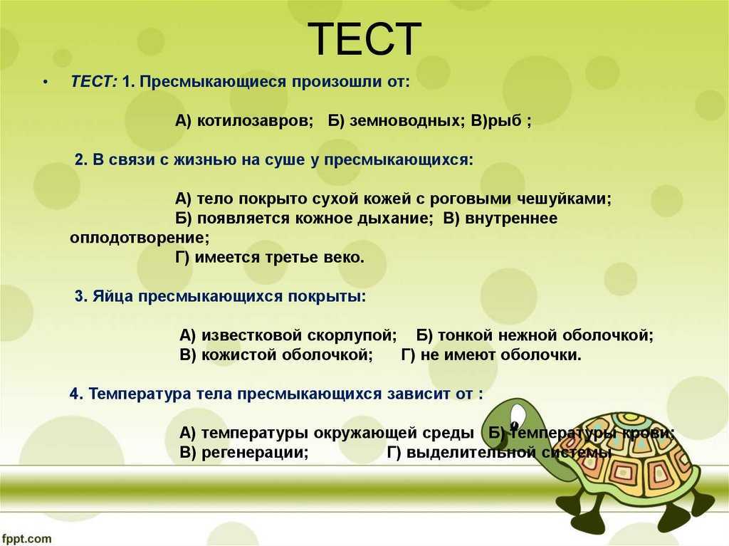 Топ 12 доисторических морских чудовищ