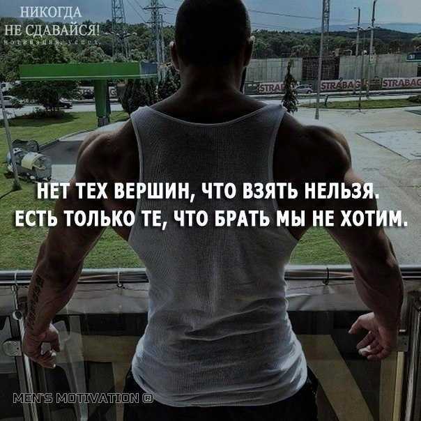 Домашние животные которые вошли в книгу рекордов гиннесса - интересно на joinfo.com