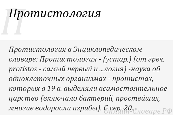 Одноклеточные организмы: список, кто открыл, в каких средах обитают одноклеточные организмы, примеры одноклеточных эукаритов, водорослей, грибов, виды простейших | tvercult.ru