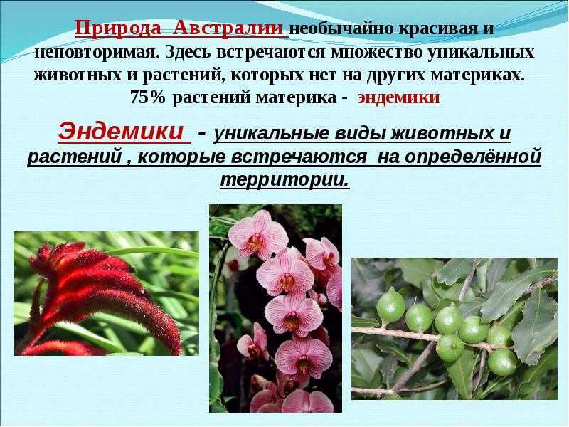 Остров, на котором уже 60 000 лет обитает неизвестное враждебное племя