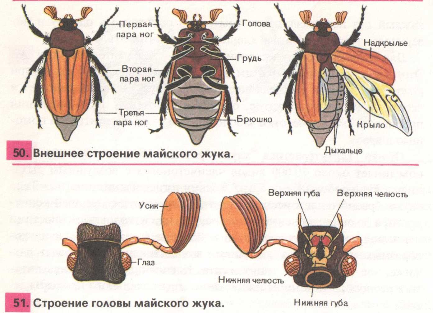 Все фразеологизмы  300 фразеологизмов и фразеологических оборотов