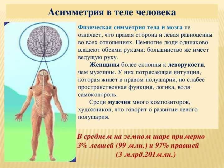 Кольчатые паразитические черви