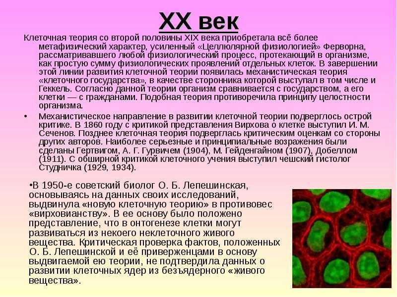 Уровни организации жизни | биология