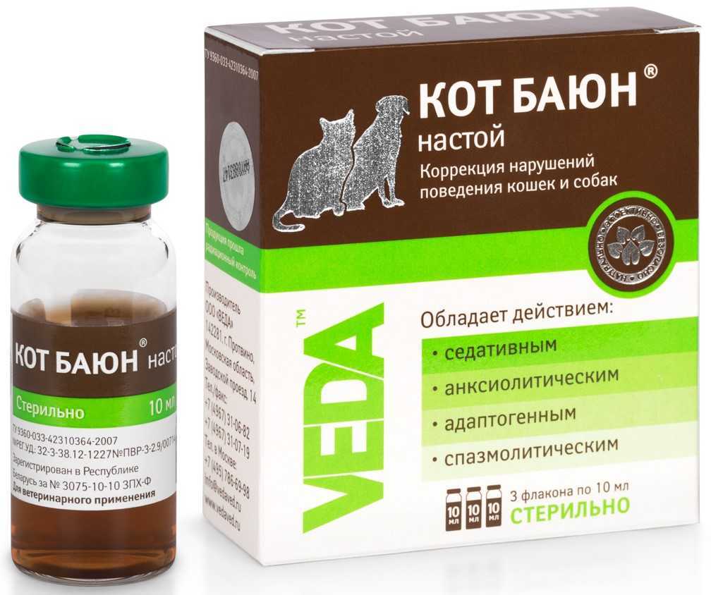 Как усыпить кошку без ветеринара?